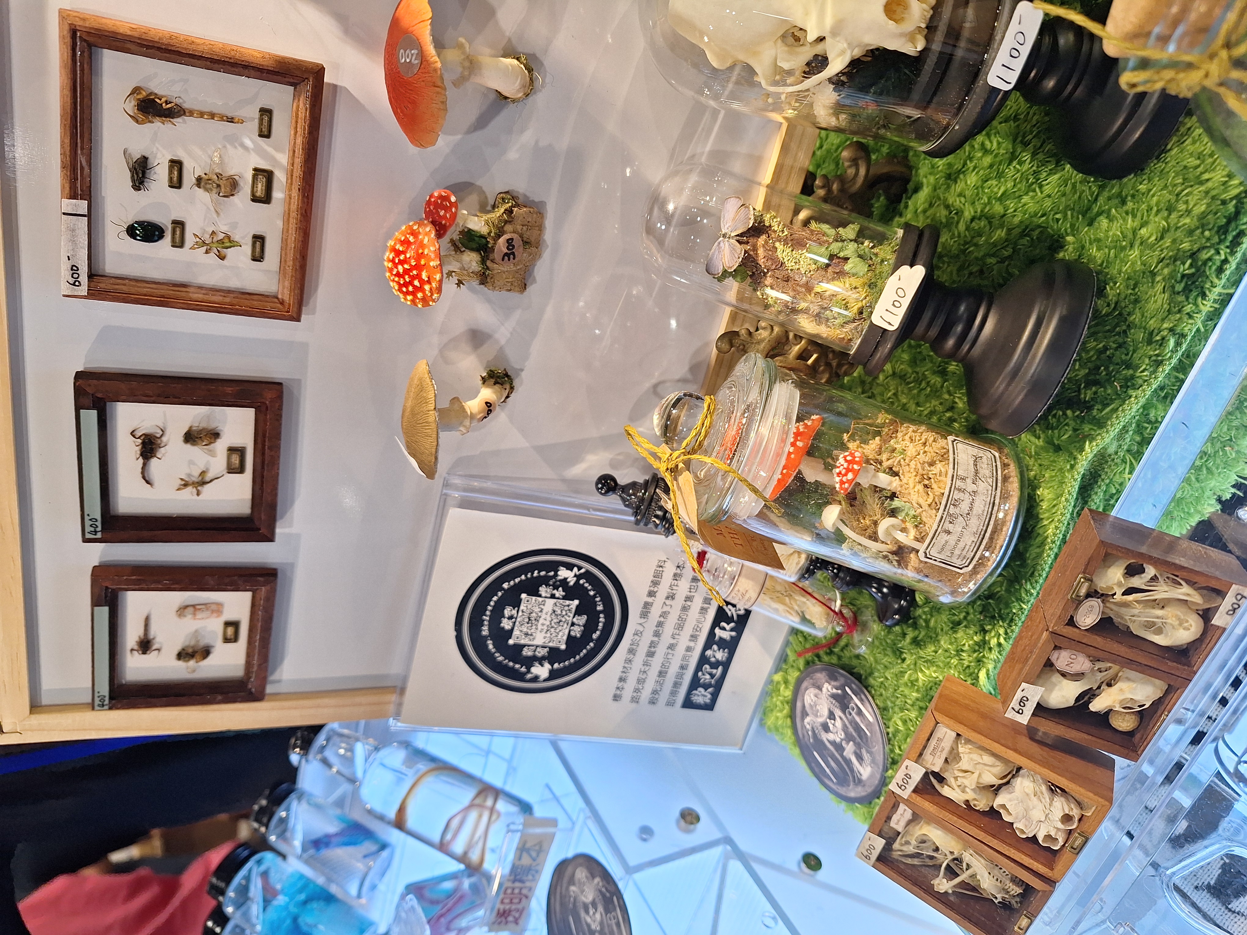 養蜥殿造辦處